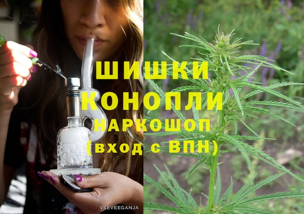 стафф Алагир