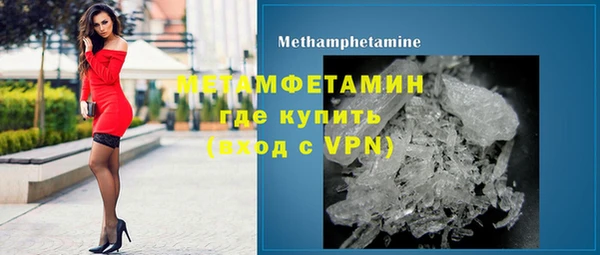 прущие грибы Михайловск