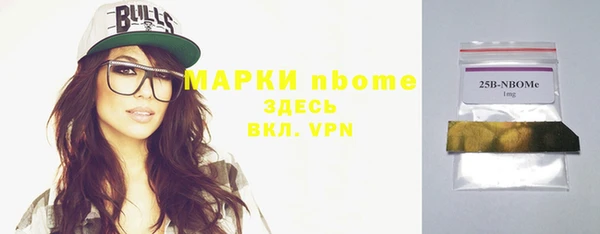 прущие грибы Михайловск