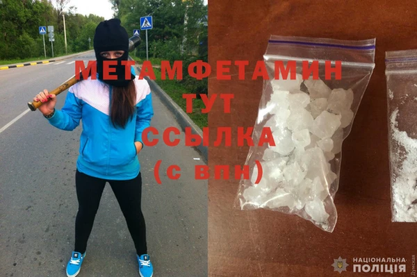 прущие грибы Михайловск