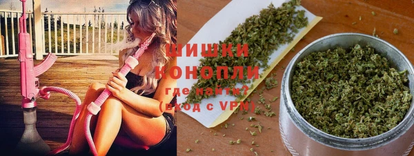 прущие грибы Михайловск