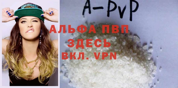 прущие грибы Михайловск