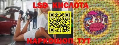 гашик Канаш
