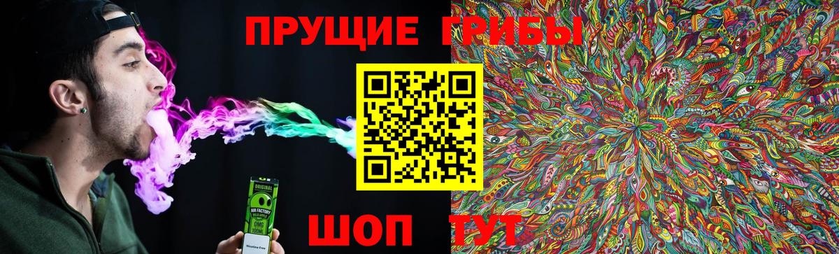 Рыбинск  Псилоцибиновые грибы мицелий  купить наркоту  Вход с VPN 